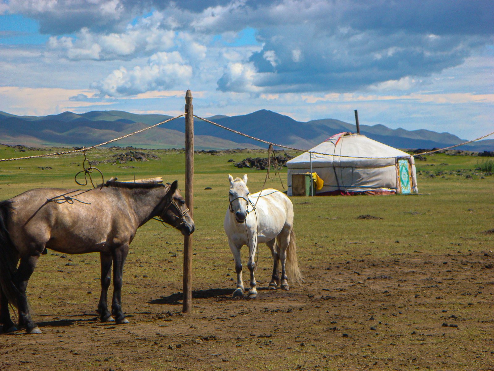 Placeholder — Mongolian steppe
